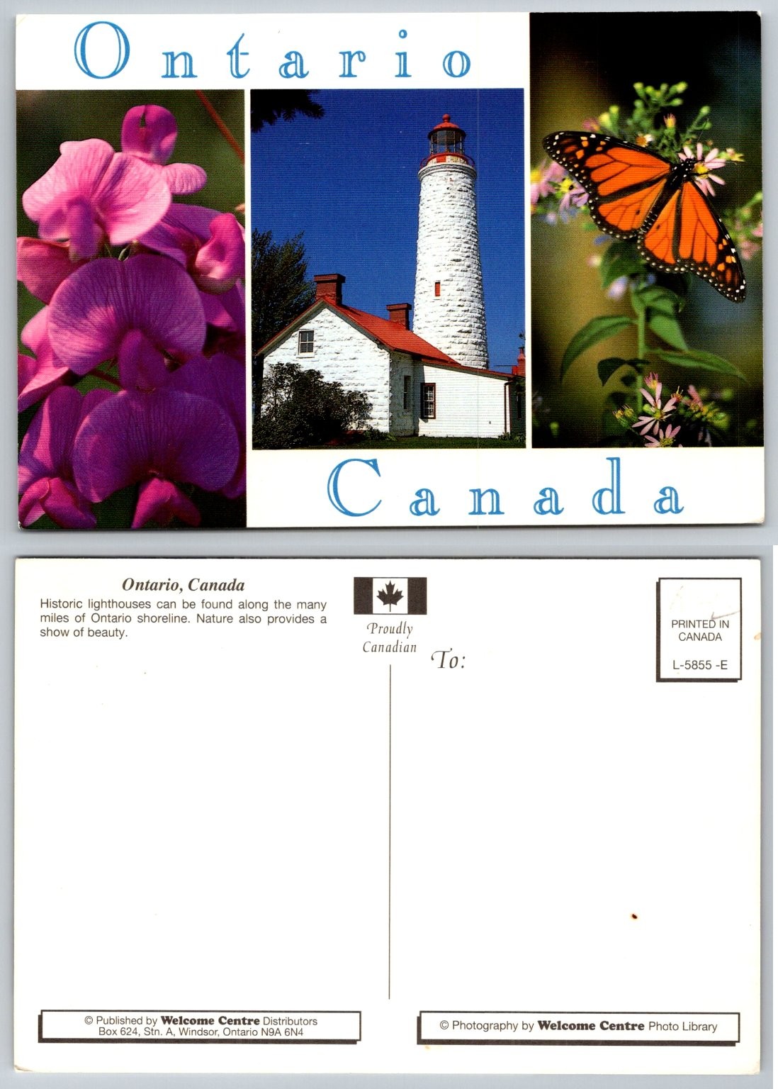 Ontario Canada Lighthouse Monarch Butterfly Flowers Postcard Welcome Centre
