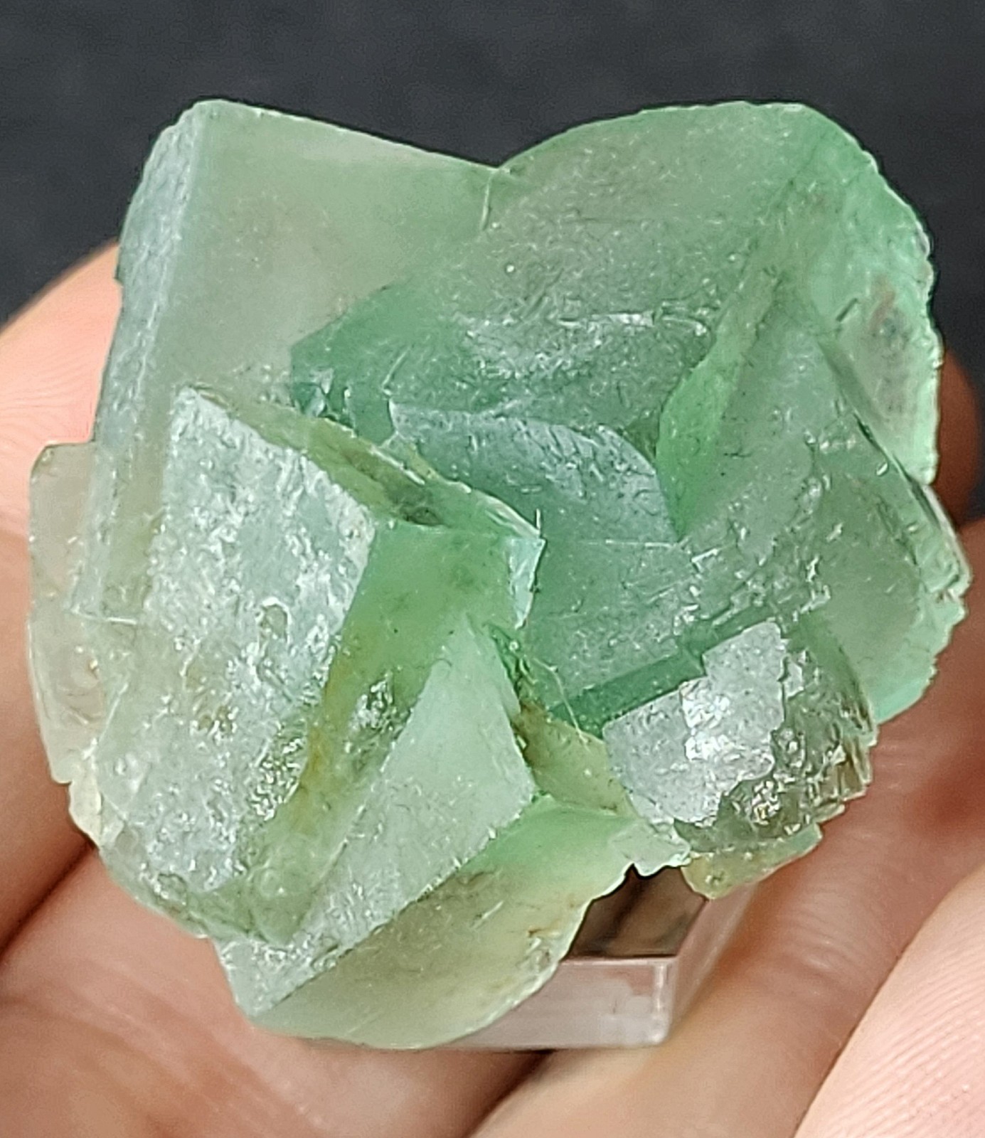 ✨️Vibrant Green Fluorite Crystal Cluster - Zhejiang, China✨️