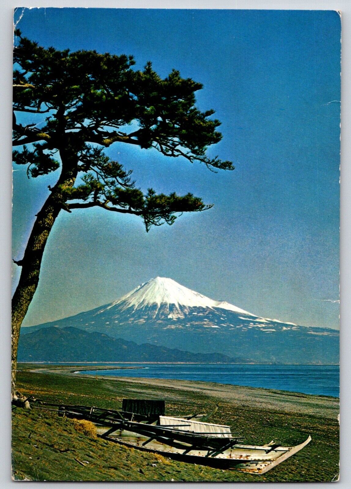 Postcard Japan Mt. Fuji in Early Summer