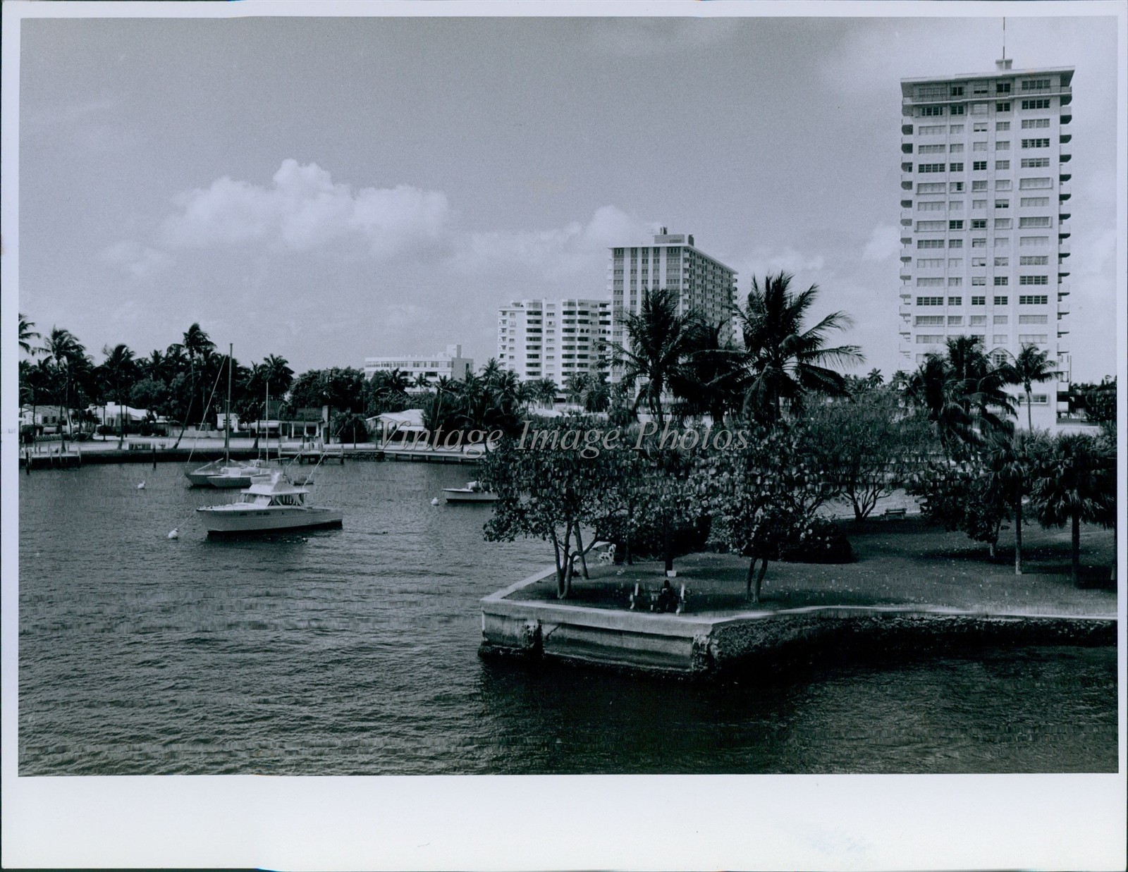 1974 Miami Waterfront Boats Buildings Palm Trees Photo 7x9