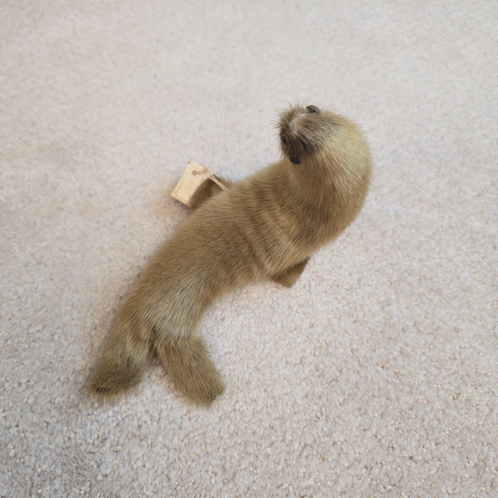 Vintage Canadian Hair Seal Fur Inuit Souvenir