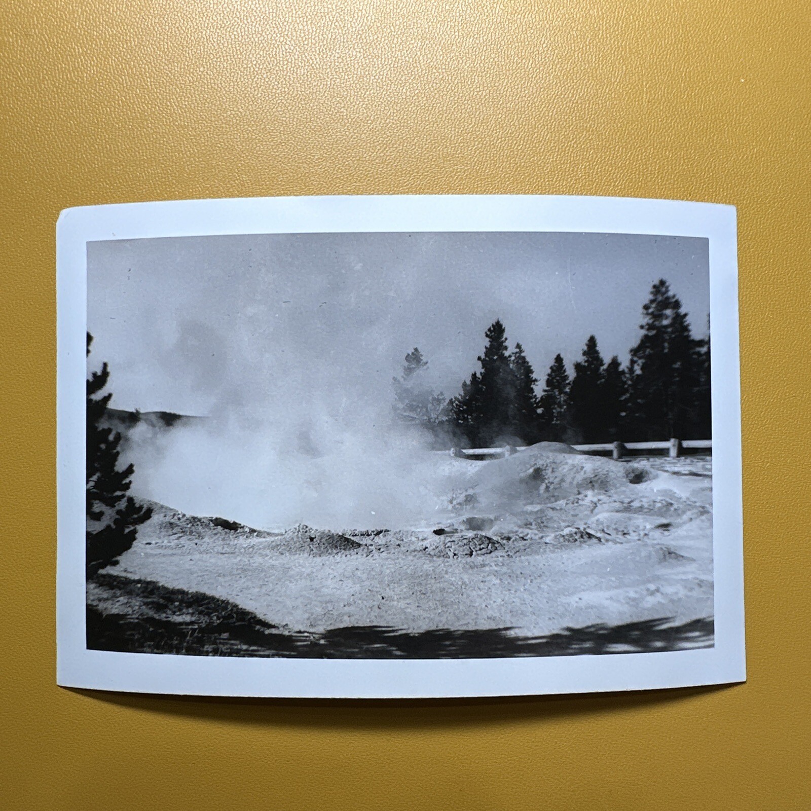 Fountain Paint Pot Yellowstone Ntl Park VINTAGE PHOTO snapshot Mud Pot Caldera