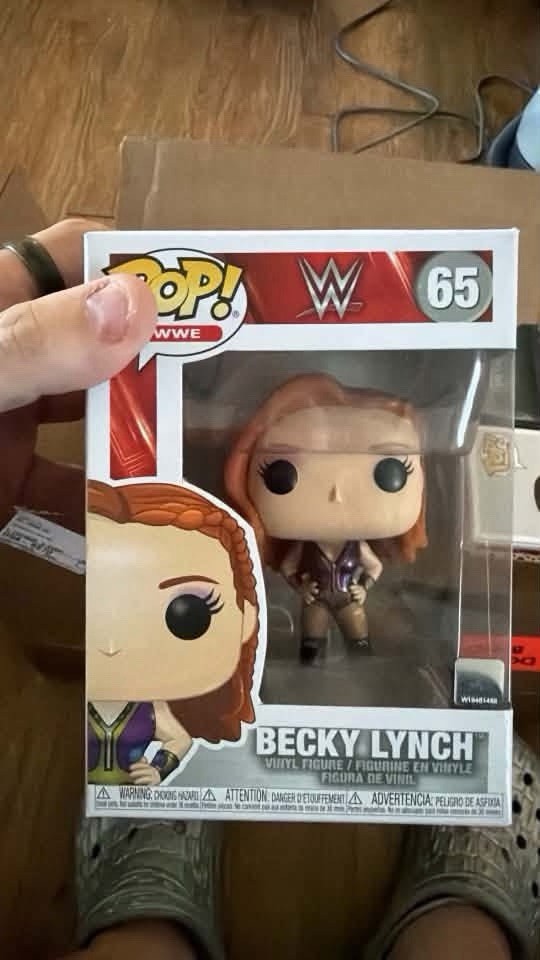 WWE Funko Pops Lot
