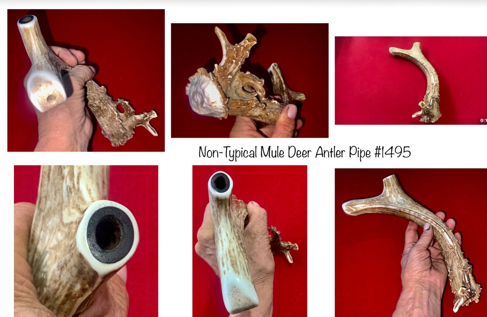 #1495 Non-Typical Mule Deer Antler smoking pipe