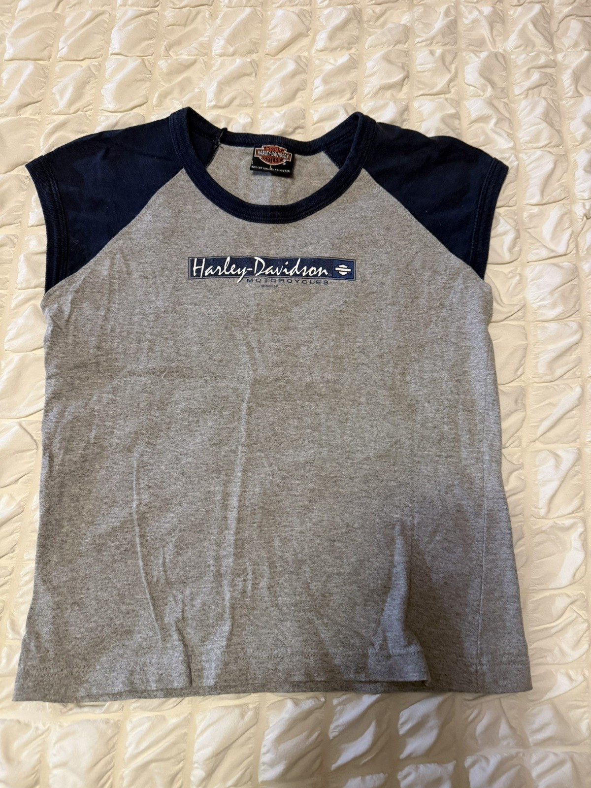 WOMEN\'S HARLEY DAVIDSON KERSTING\'S NORTH JUDSON IN BLUE GRAY SHIRT LARGE