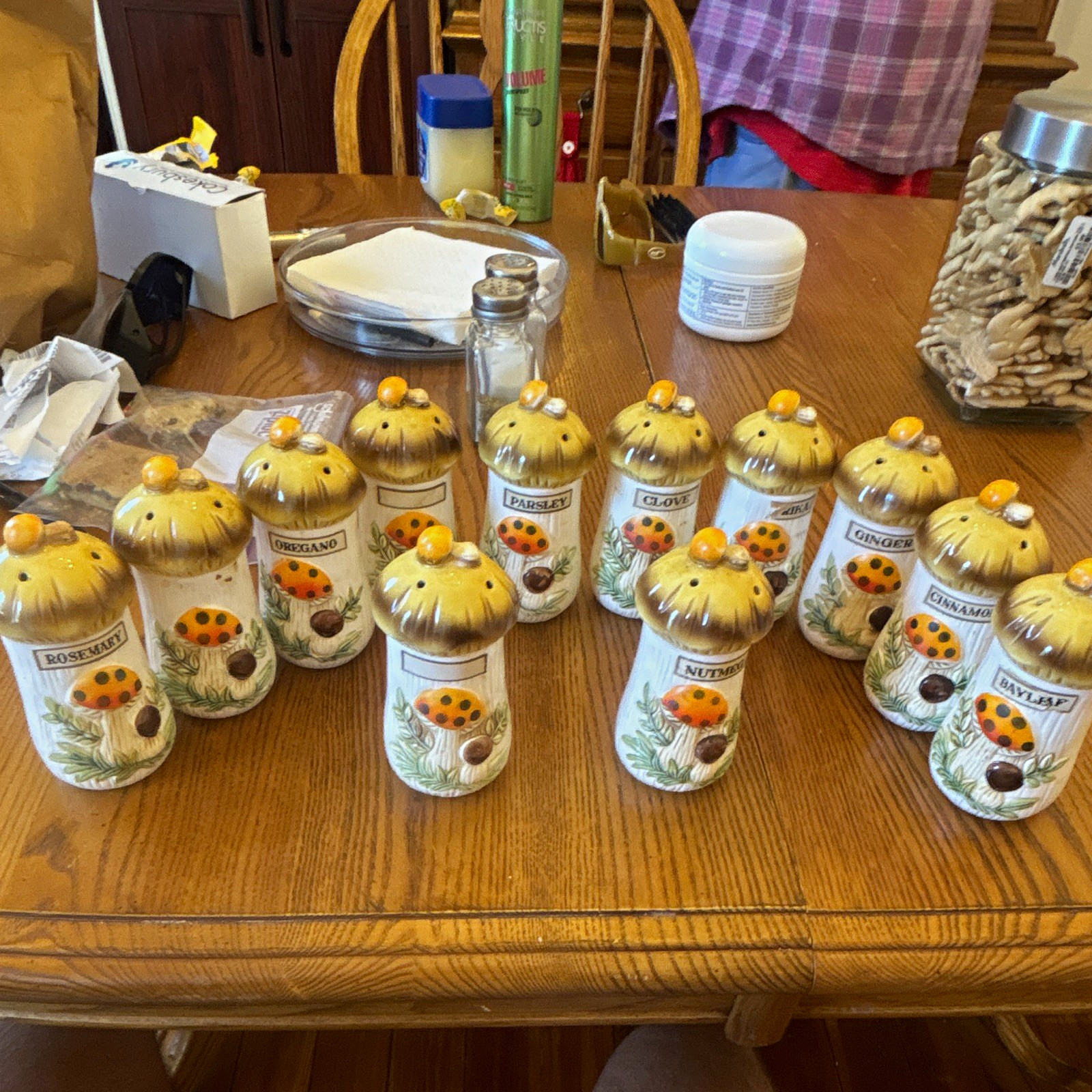 Sears Roebuck 1976 Mushroom Spice Jar Set 12 Ceramic