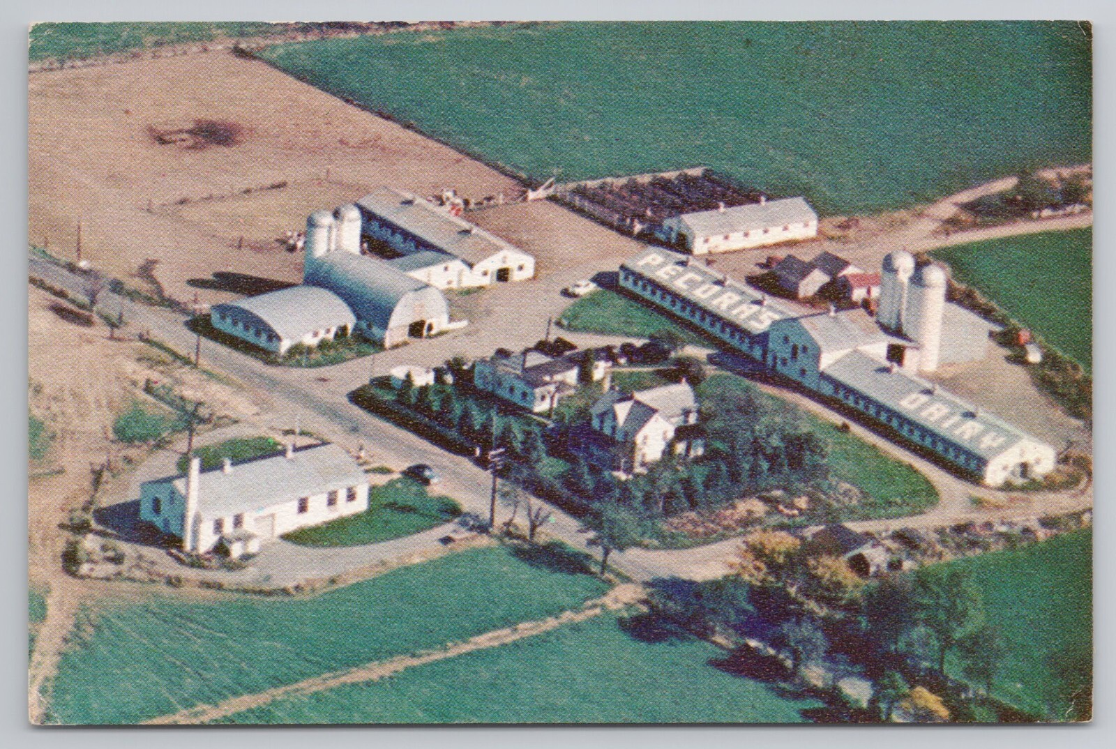 Pecora's Dairy Farm Rte 29 Between Hazleton and Berwick Pennsylvania Postcard