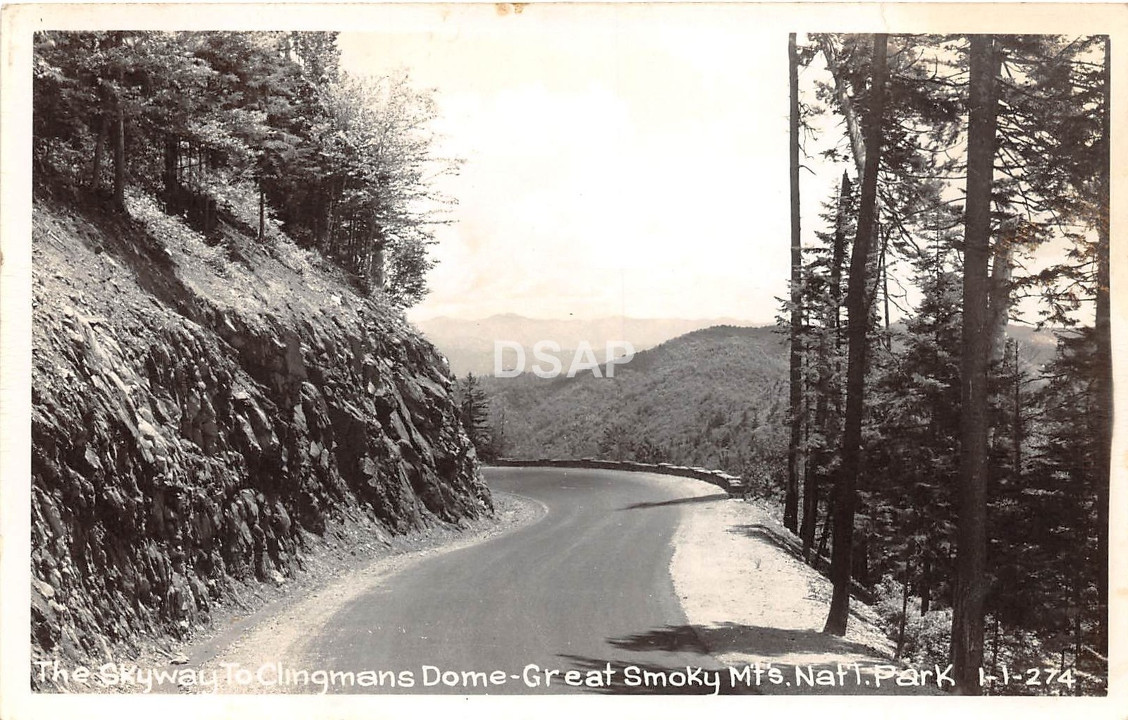 C74/ Great Smoky Mountains National Park Tennessee Tn Postcard RPPC Skyway 5 C74/ Great Smoky Mountains National Park Tennessee Tn Postcard RPPC Skyway 5