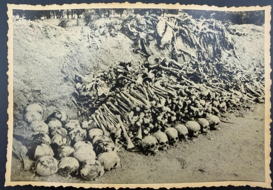 Photo Archaeological Excavations and Finds from WWII, 1943 - RARE