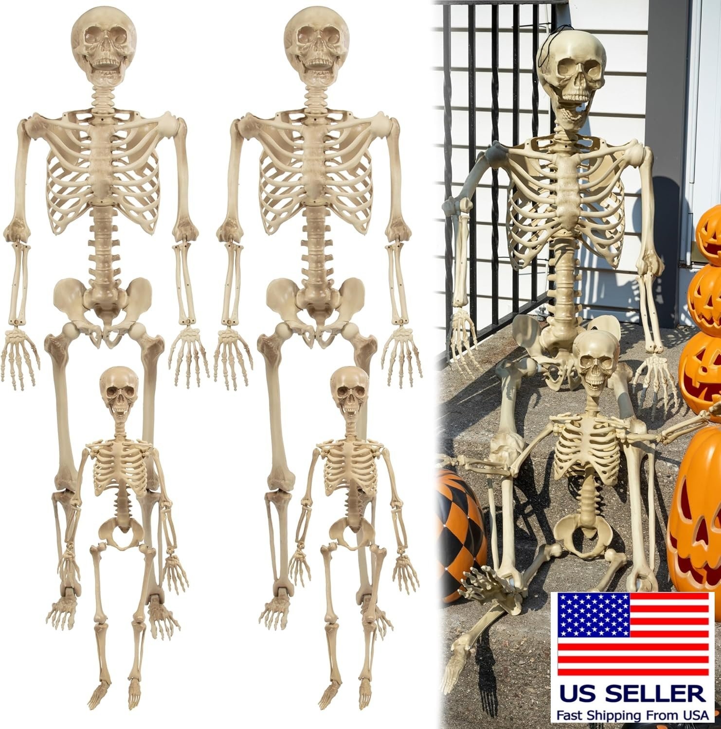 4Pc Halloween Skeleton Life Size Human Posable Adult 5' 4