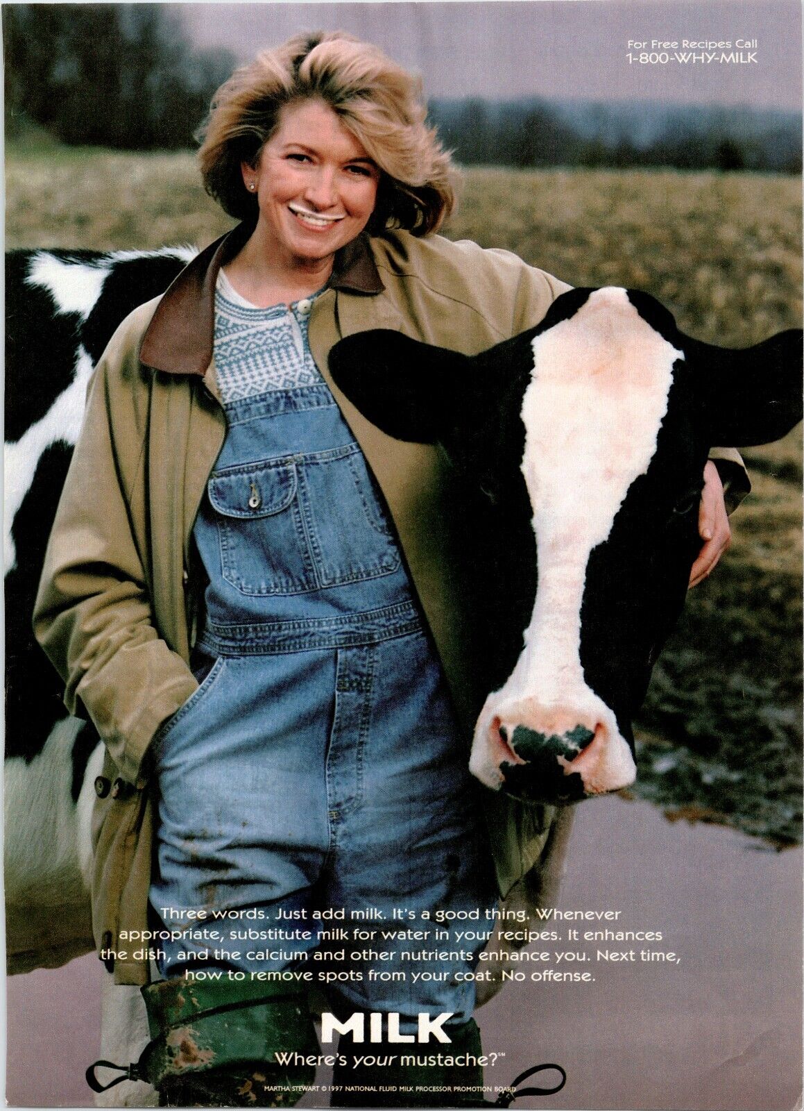 MARTHA STEWART / GOT MILK Advertisement ~ 1997 Magazine Advertising Print