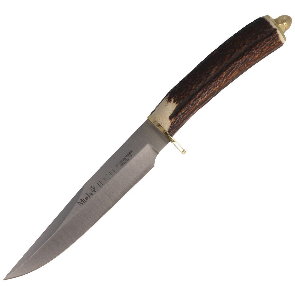 Muela Hunting Knife with Deer Stag 160mm (TEJON-16)