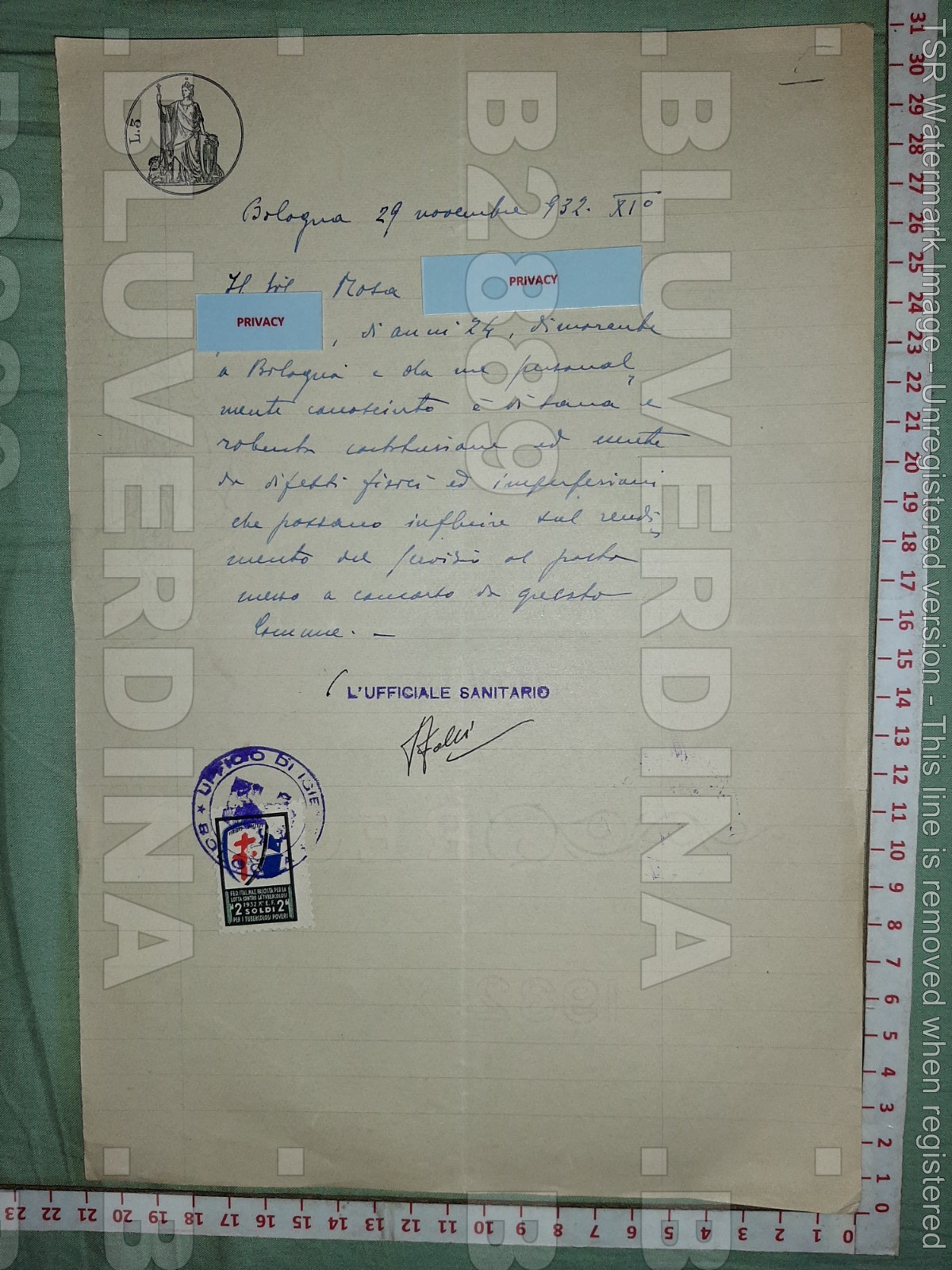 B2889 SHEET BOLOGNA 1932 STAMP PAPER + STAMP MARK TUBERCULOSIS HYGIENE OFFICE