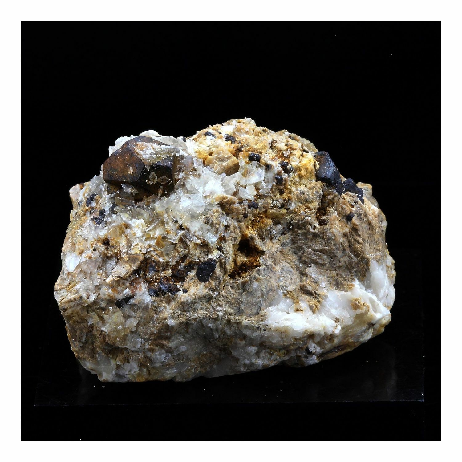 Pyrite + Calcite + Dolomite. 311.0 Ct. Lamalou-Les-Bains, Hérault, France.