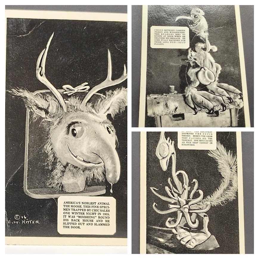 3 novelty postcards fantastical taxidermy sculptures by E.W. Ritter 3 novelty postcards fantastical taxidermy sculptures by E.W. Ritter