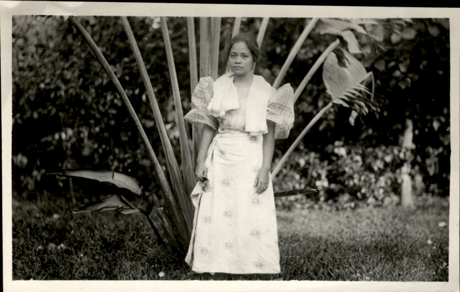 Beautiful Indigenous Woman in Dress Hawaii or Philippines? c1910 RPPC PC bhn
