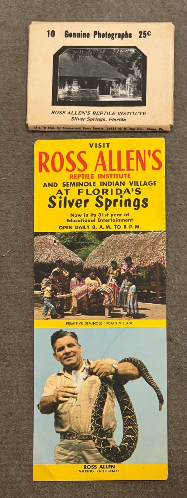 Vintage Ross Allen Reptile Institute Florida Flyer & Souvenir Mini Views Mailer