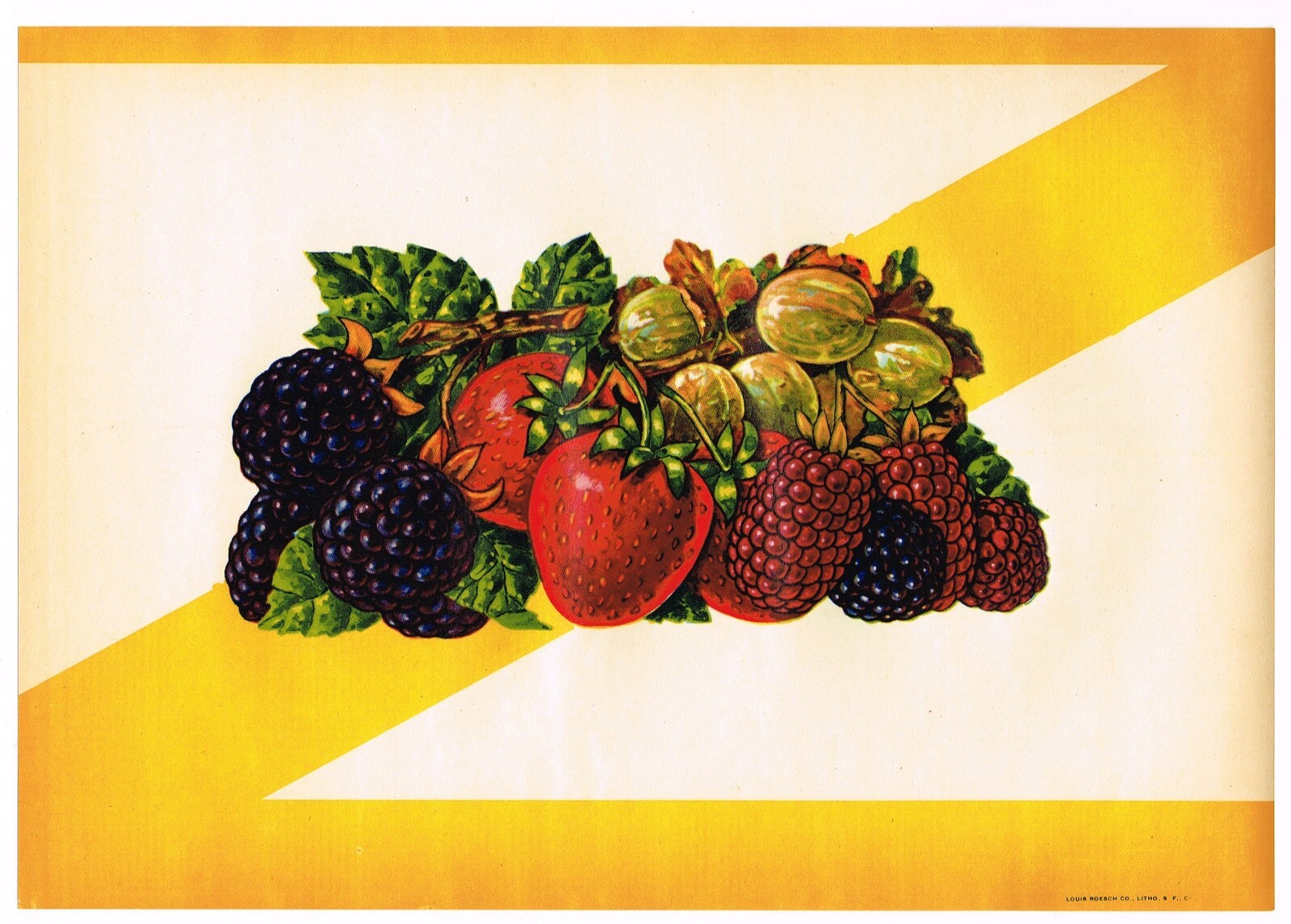 ORIGINAL 1930S STOCK FRUIT CRATE CASE LABEL VINTAGE VARIOUS BERRIES ROESCH CO.