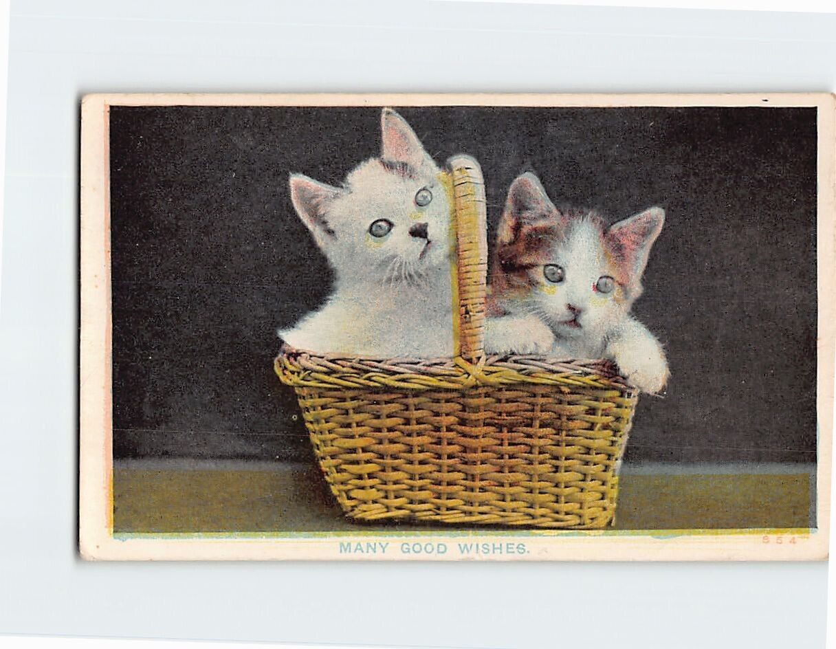 Postcard Many Good Wishes with Cats Basket Picture