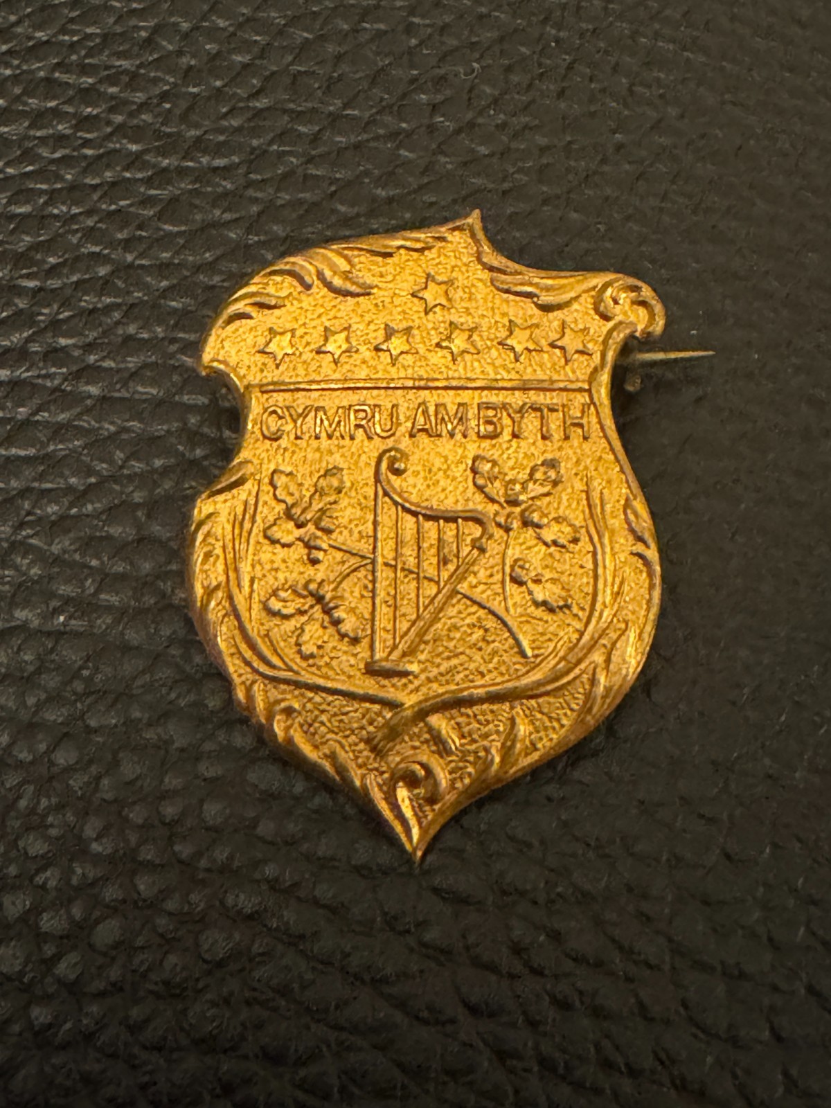 Antique Welsh CYMRU AM BYTH Shield Badge Pin Whitehead Hoag Co Newark NJ