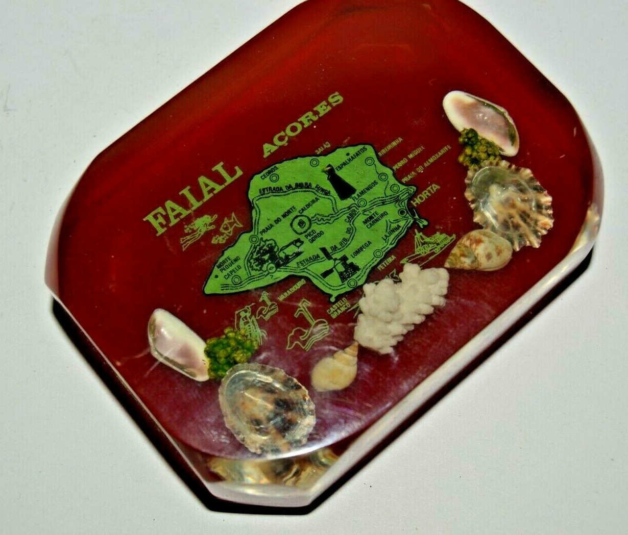 Vintage Faial Acores Lucite High End Beach Shells Island Paperweight Portuguese Vintage Faial Acores Lucite High End Beach Shells Island Paperweight Portuguese