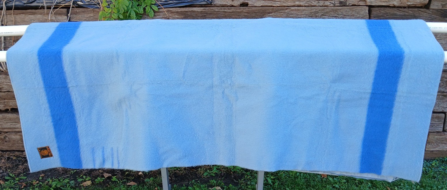 Vintage Early\'s Witney 4 Point Wool Blanket Light Blue Made in England ~91\