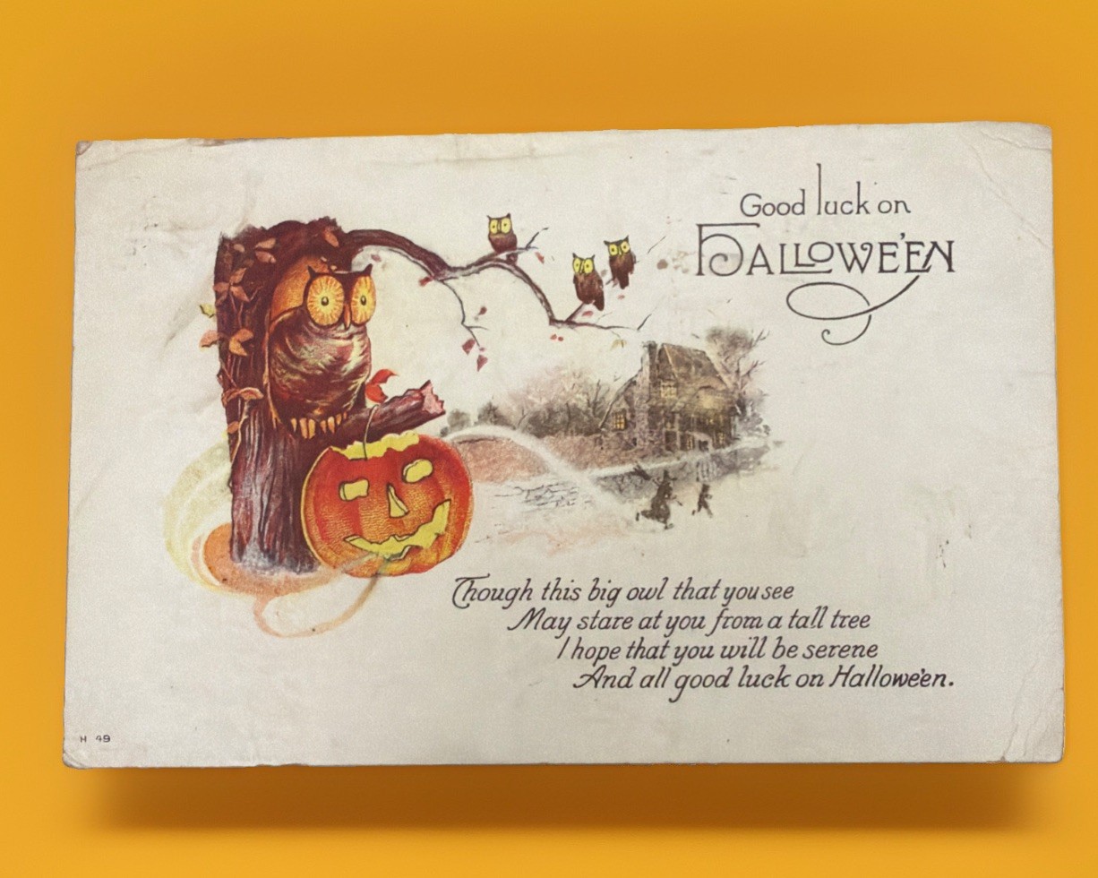Antique 1921 Nash Halloween Postcard Series H-49 Owl Jack-O-Lantern Embossed