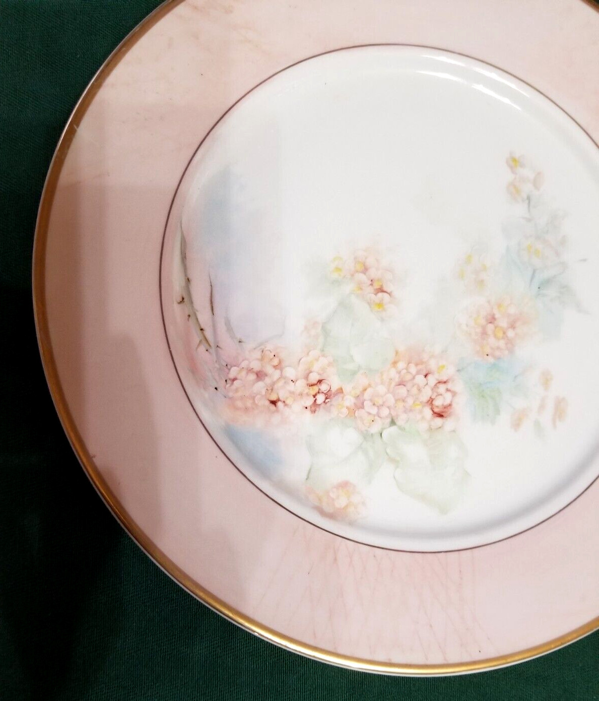 Wild Rose Flower Porcelain Plate Platter 10.5