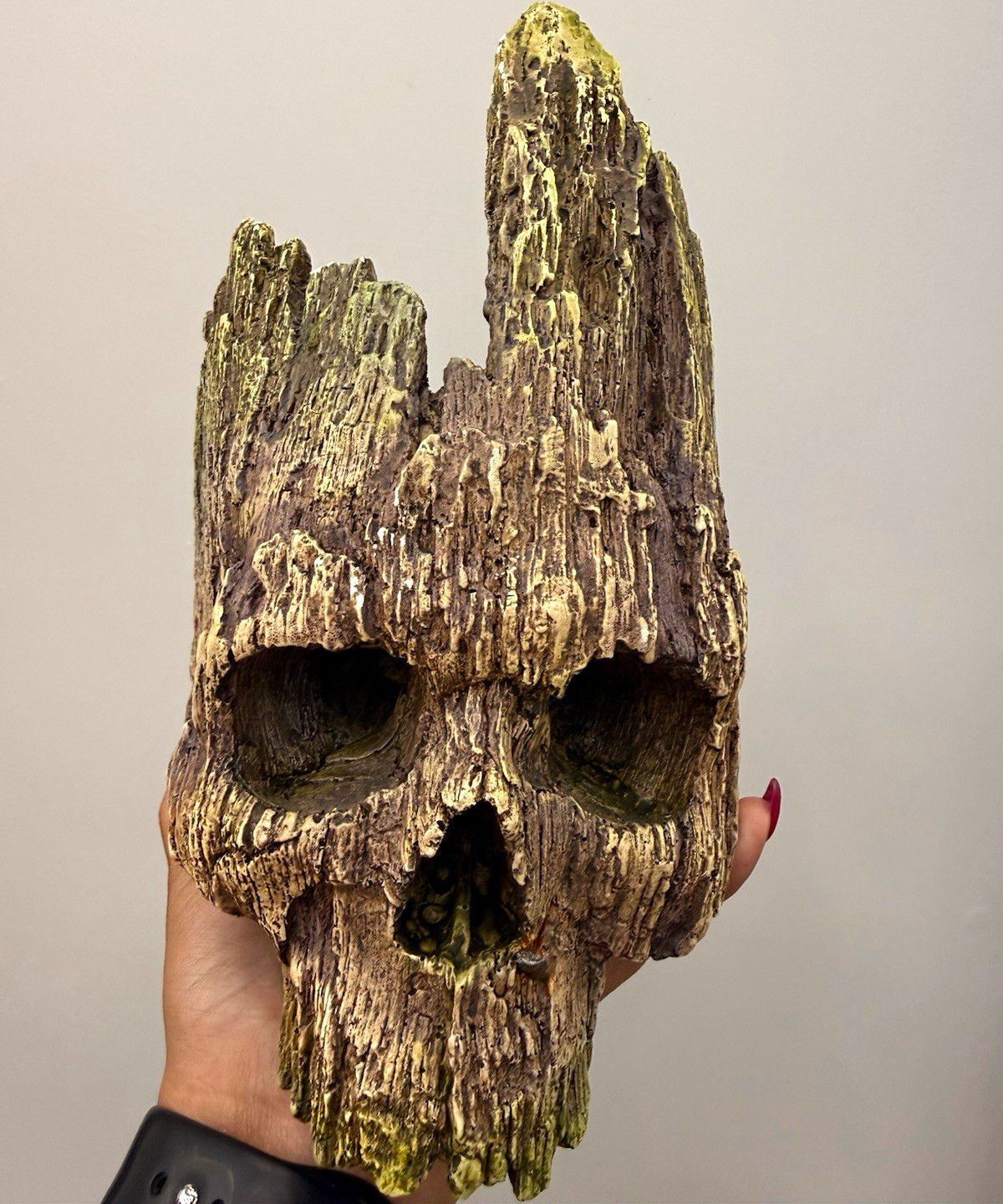 Jack of the dust dead wood skull