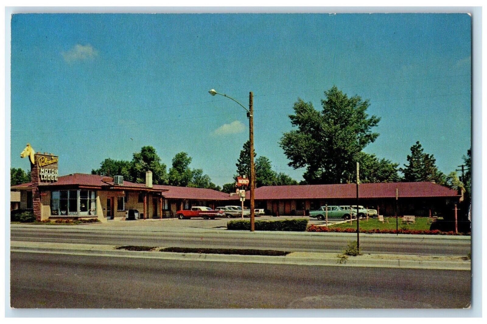 c1960 Exterior View Palomino Motel Building Denver Colorado CO Vintage Postcard