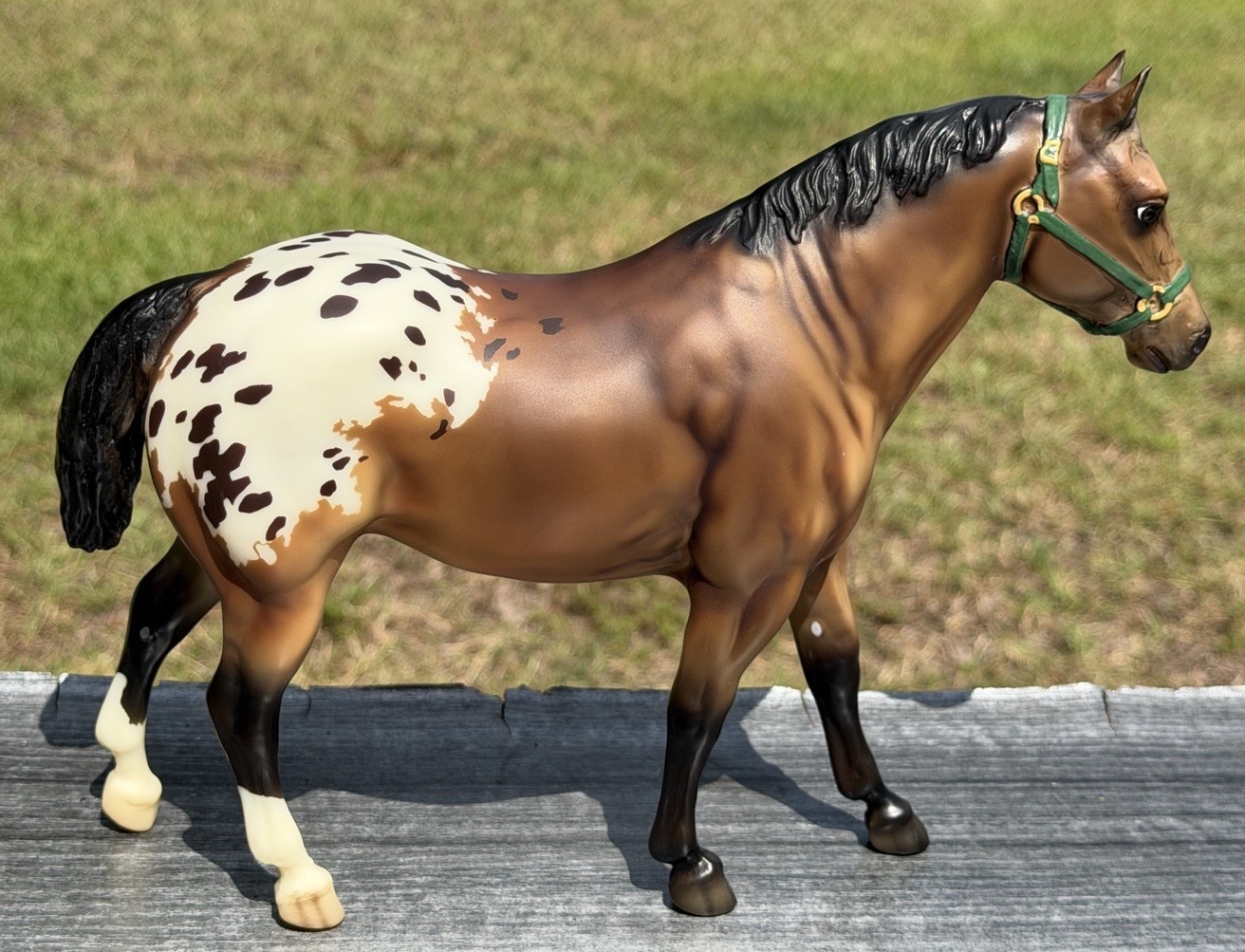 Breyer BreyerFest 2009 Appaloosa Surprise Quarter Horse Gelding Special Run