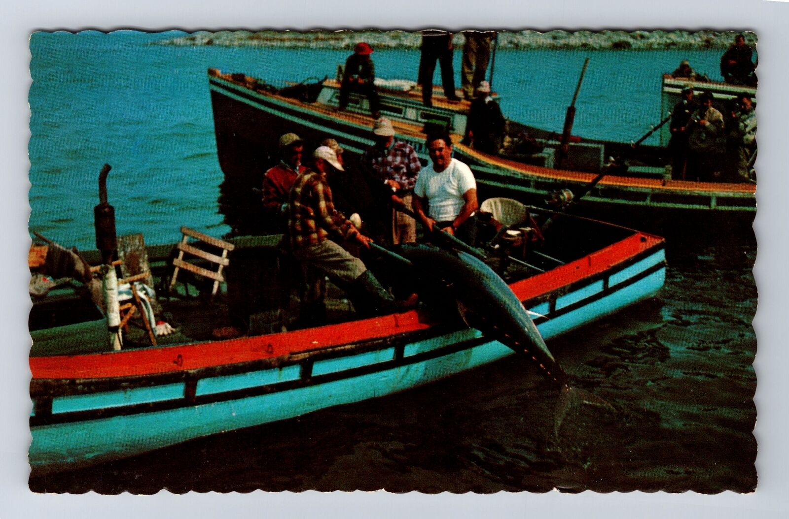 Wedgeport-Nova Scotia, Boating a Bluefin Tuna, Souvenir Vintage Postcard