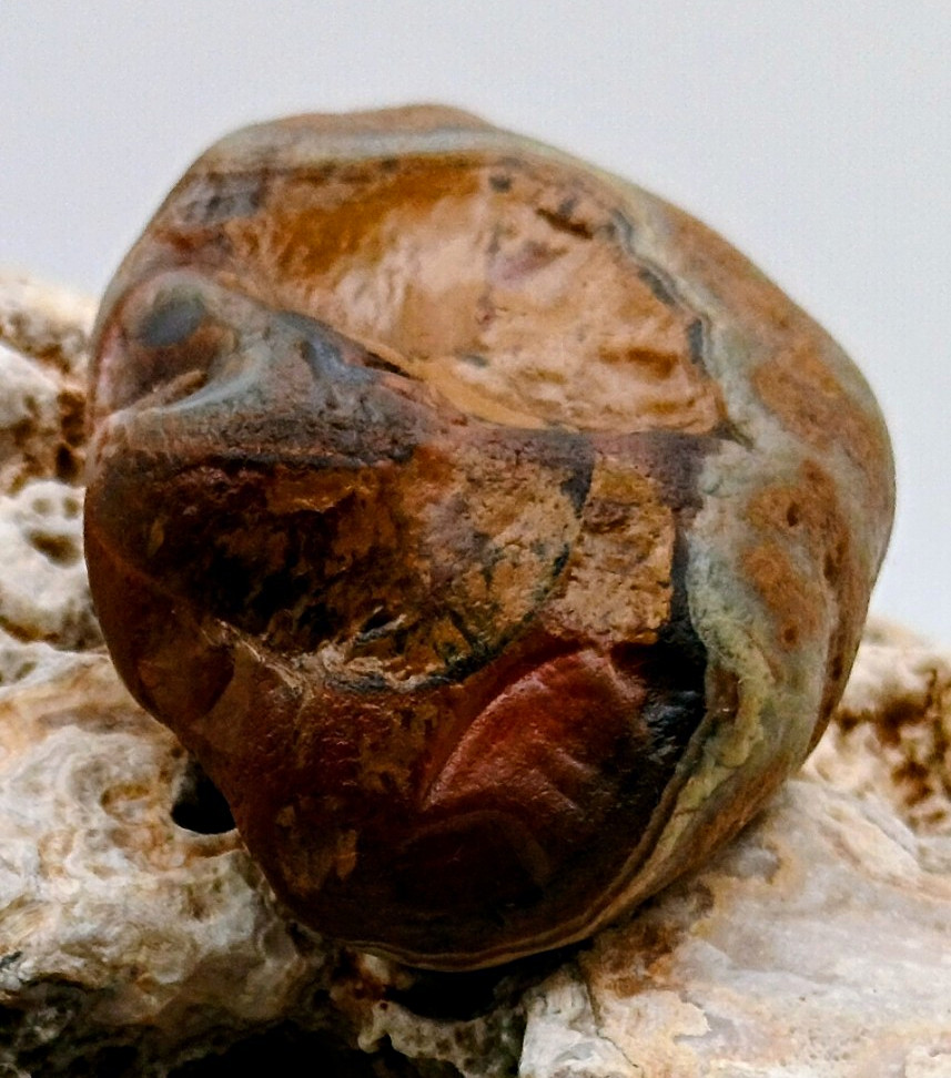 Lake Superior Agate- Rough- Blue Skin w/ Limonite- Orange & Red Abound ( 1.87oz)