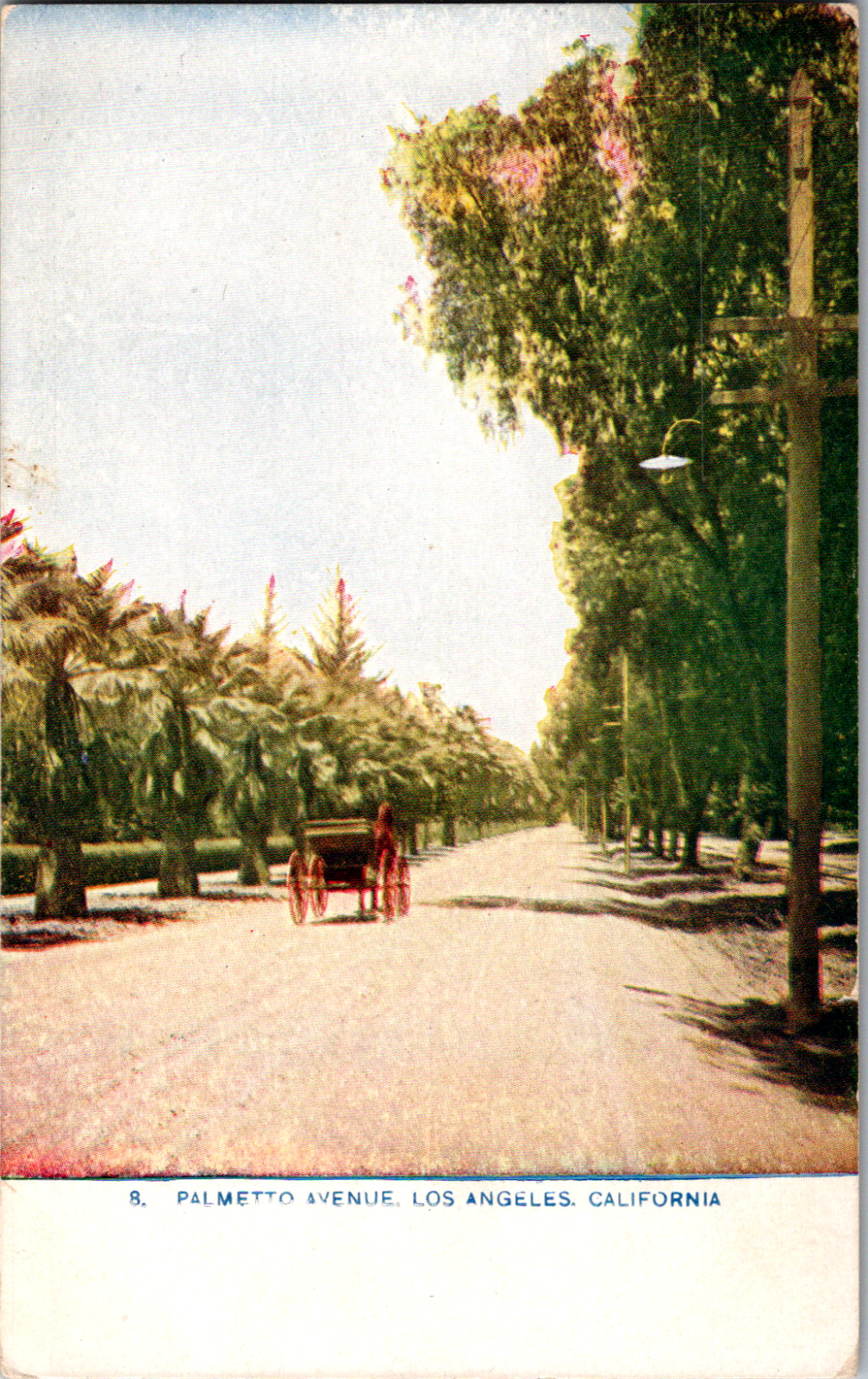 Vintage 1907 Horse & Buggy, Palmetto Ave. Los Angeles California CA Postcard