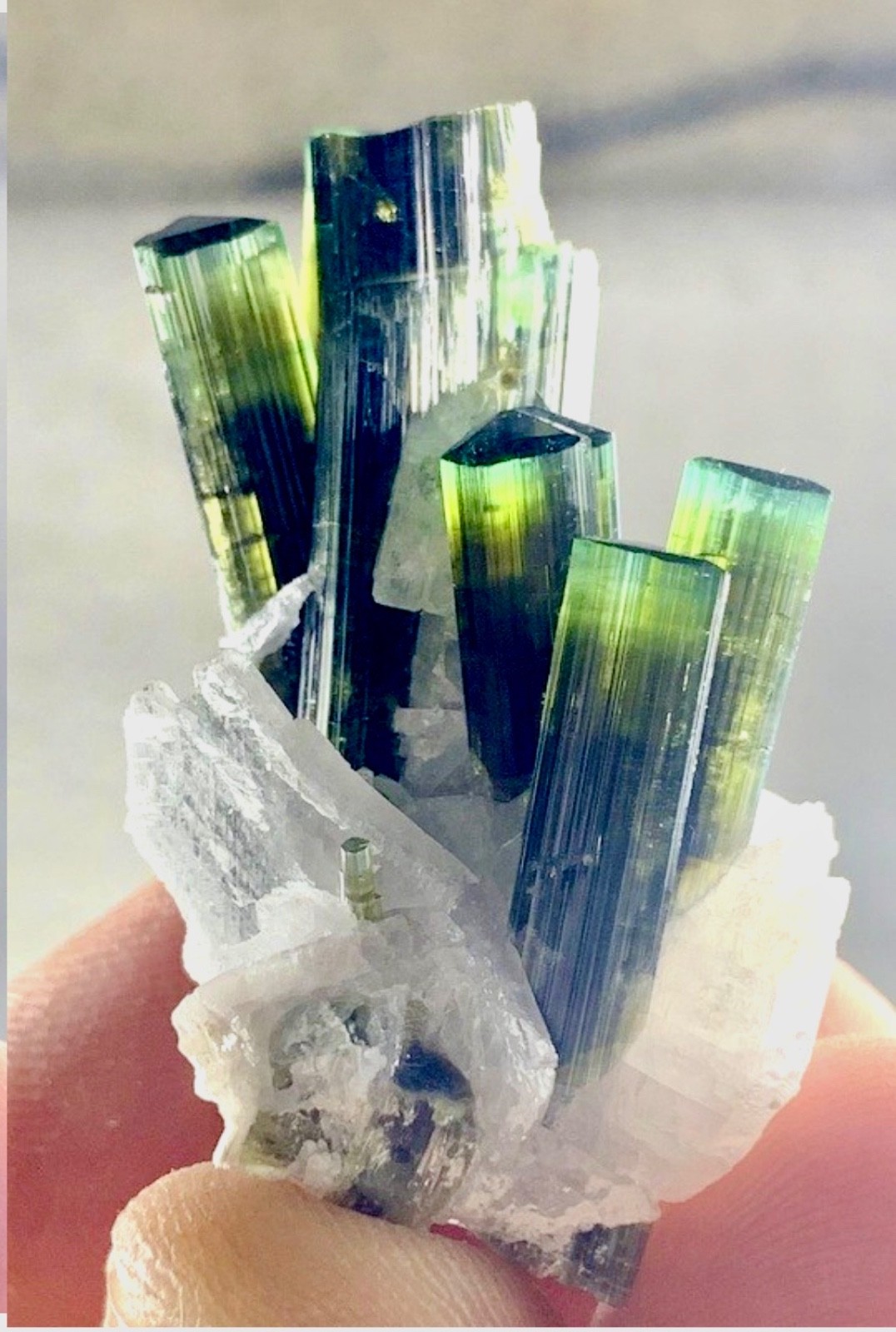 19 Gram Top Quality Green Cap Tourmaline Crystal Bunch Specimen from Skardu