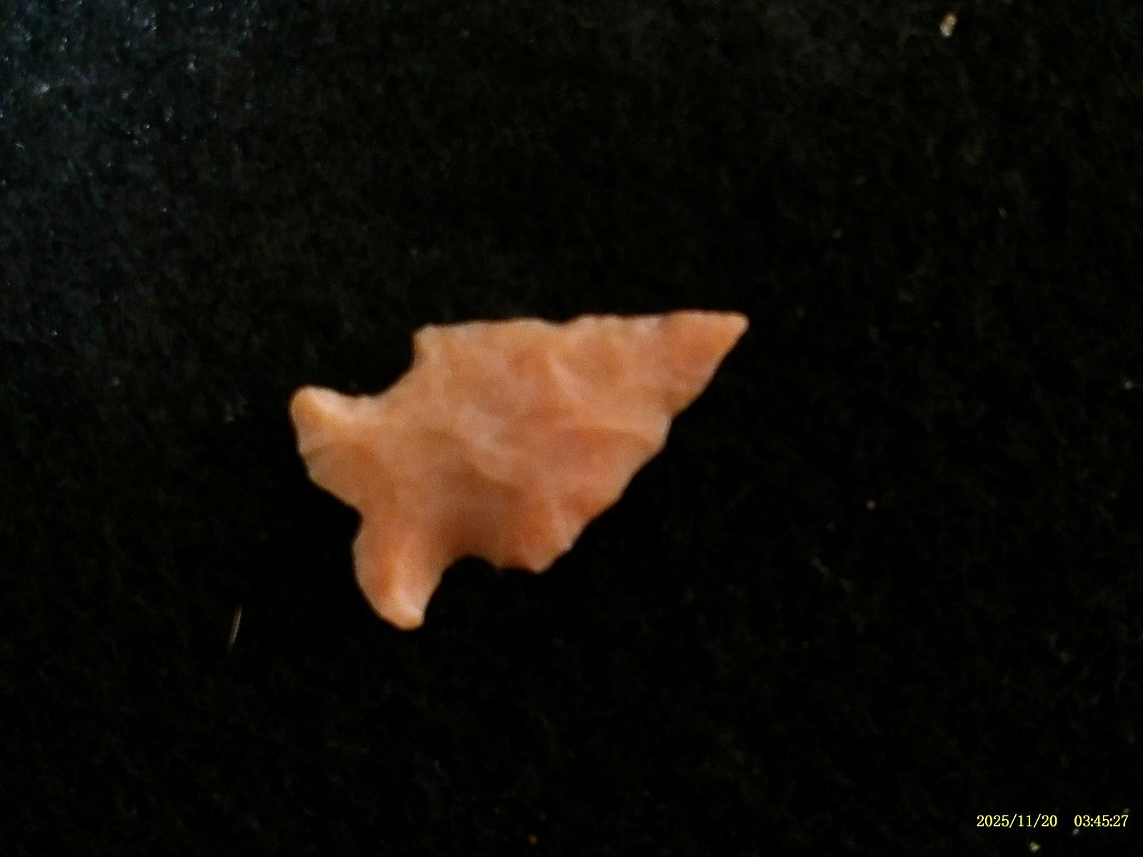 Authentic West Texas Bird Point Arrowhead, Indian Artifacts *FREE SHIPPING* PR76