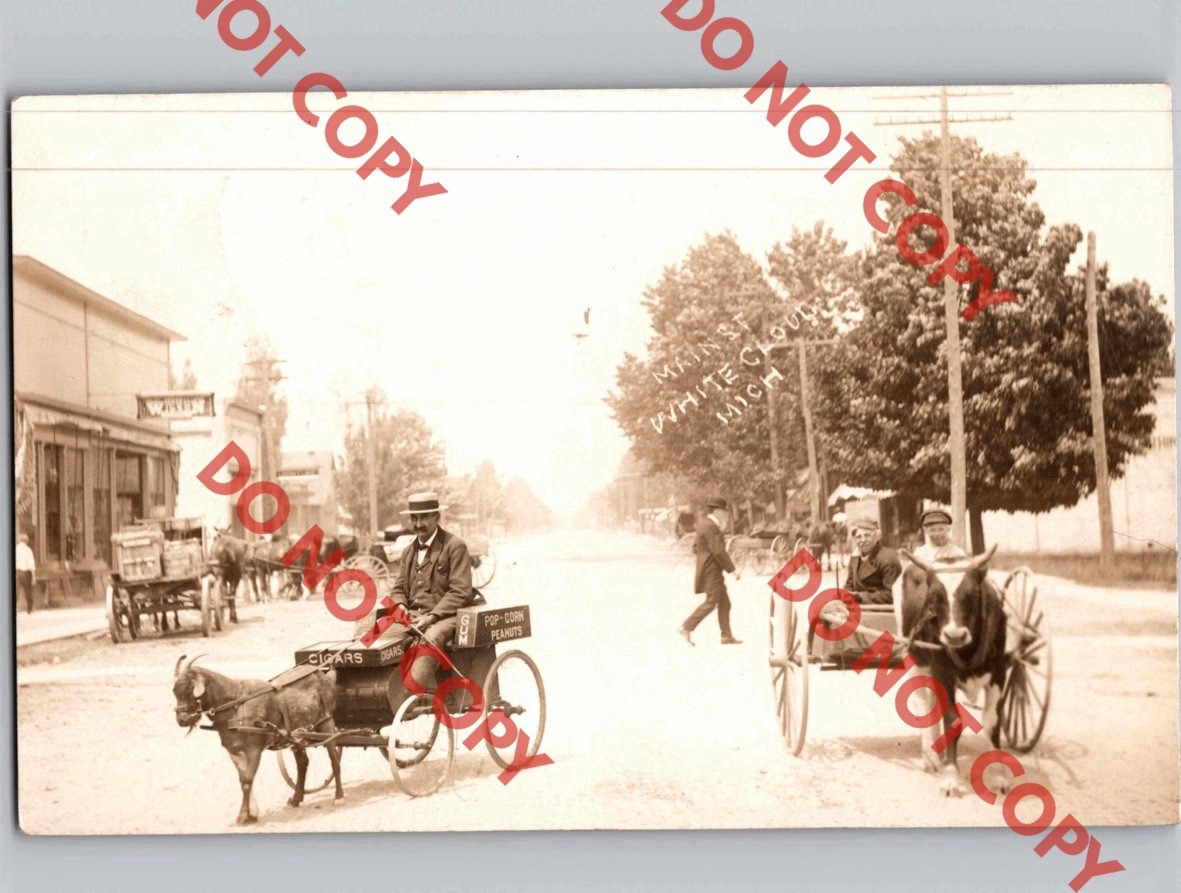 1910 Main Street Amputated Popcorn Vendor Goat Cart WHITE CLOUD Michigan MI RPPC
