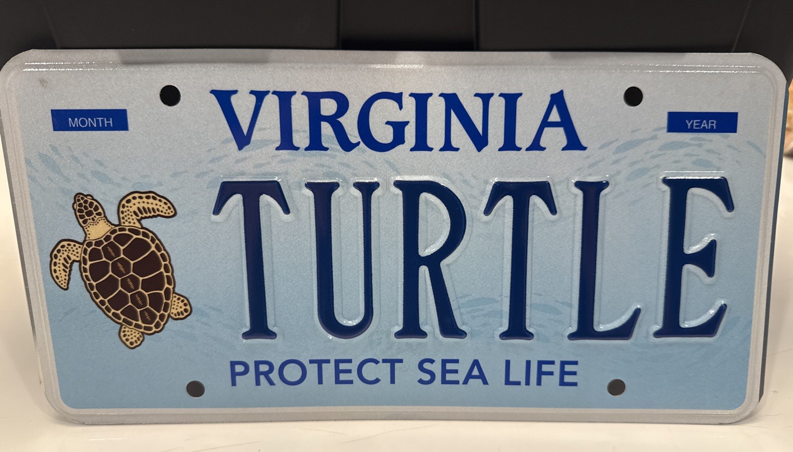 Exp. Va Personalized Vanity License Plate TURTLE Protect Sea Life Ocean Decor