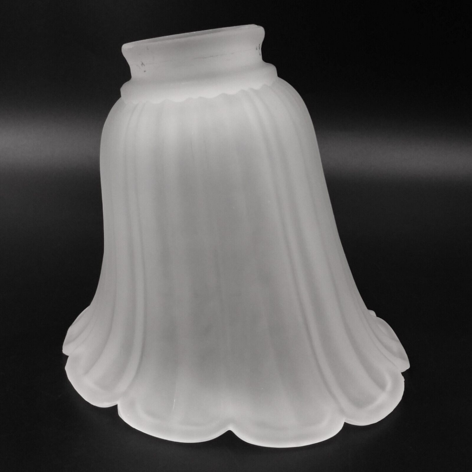 Asymmetrical Tulip Frosted Glass Light Lamp Shade Sconce Pendant Fixture
