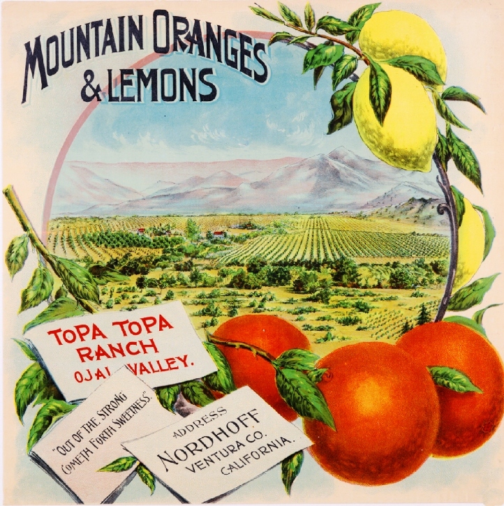 Nordhoff Ojai Valley Topa Mountain Orange Citrus Fruit Crate Label Art Print Nordhoff Ojai Valley Topa Mountain Orange Citrus Fruit Crate Label Art Print
