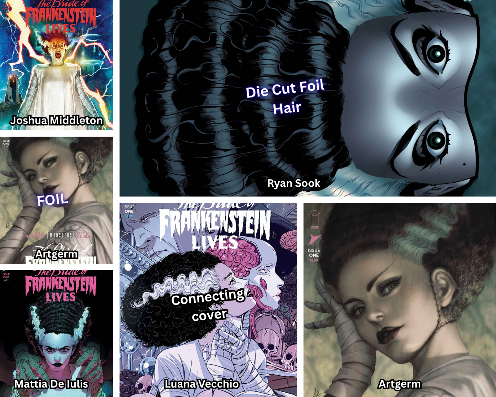 🟣Universal Monsters Bride Of Frankenstein Lives #1 (6 Book Set) Presale 10/28
