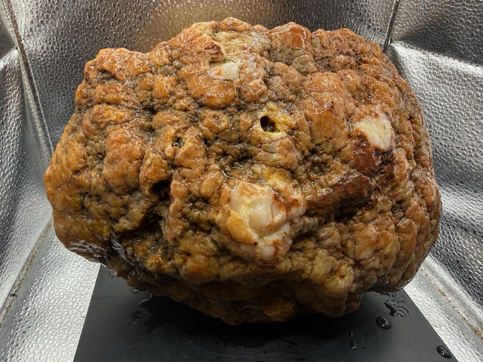 Huge Ancient Fossilized Indiana Crinoid Geode Agate Hoosier Oddity 18,600 Carats