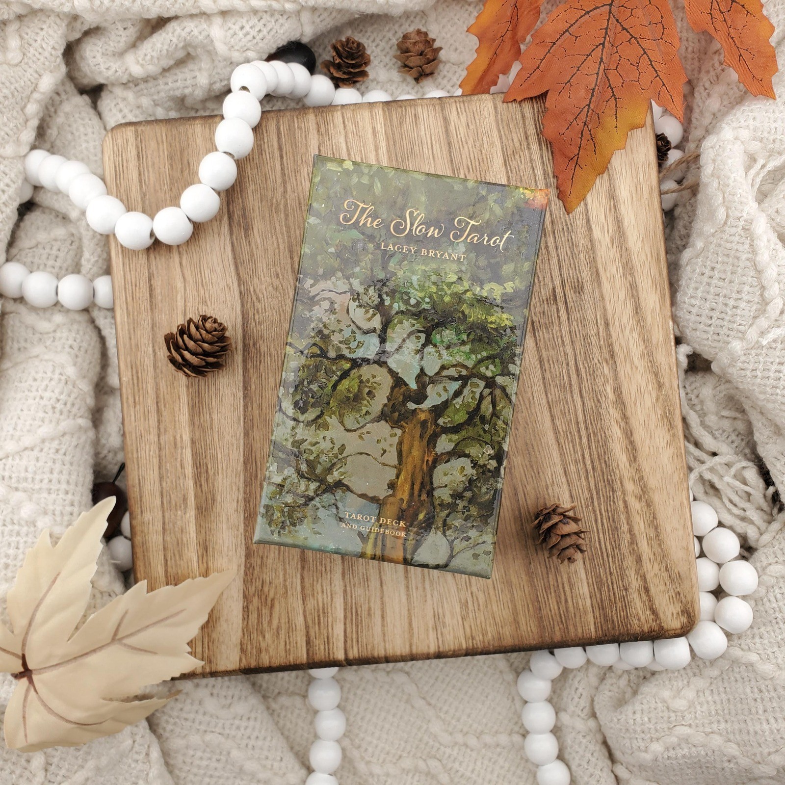 The Slow Tarot Cards 80 Card Complete Deck