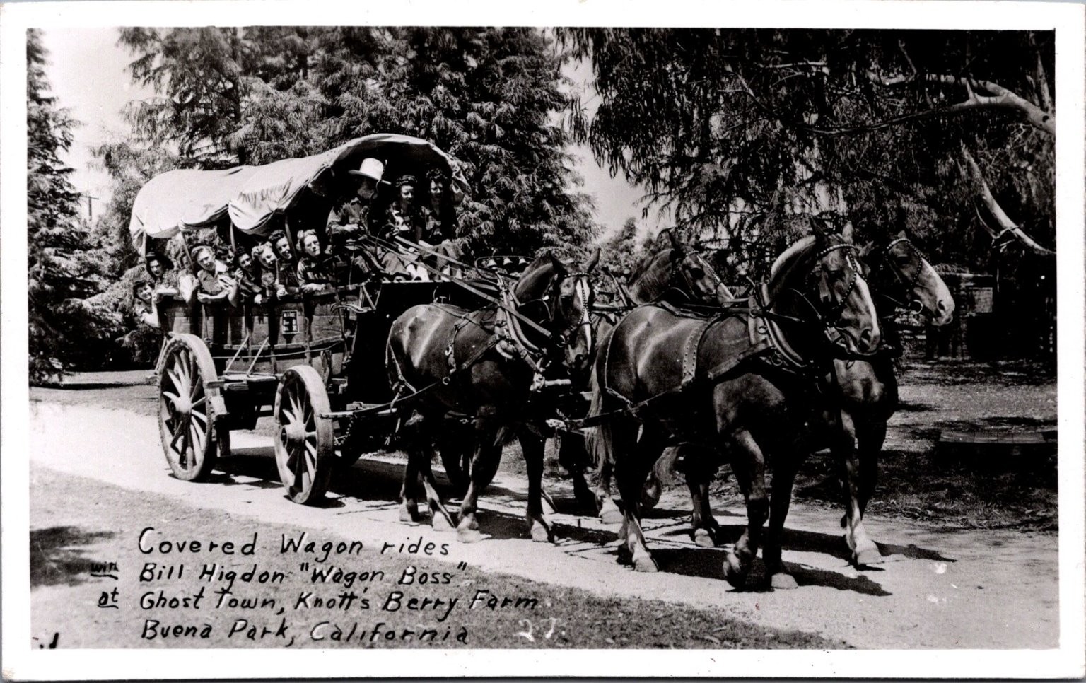Knott\'s Berry Farm Covered Wagon Ride Buena Park CA RPPC Bill Higdon Ghost Town