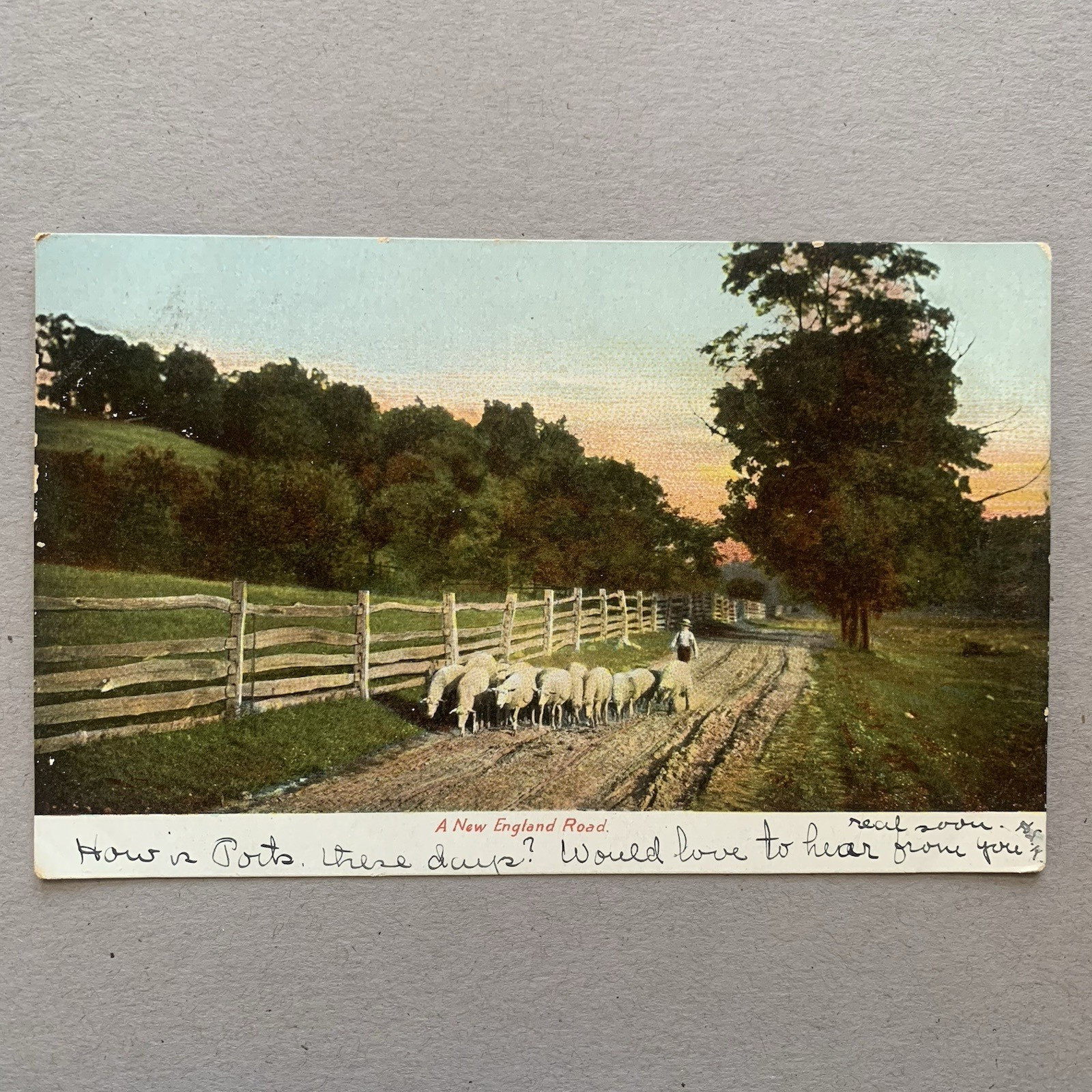 A New England Road Landscape Sheep Farmer Posted Blackstone VA 1909 Postcard