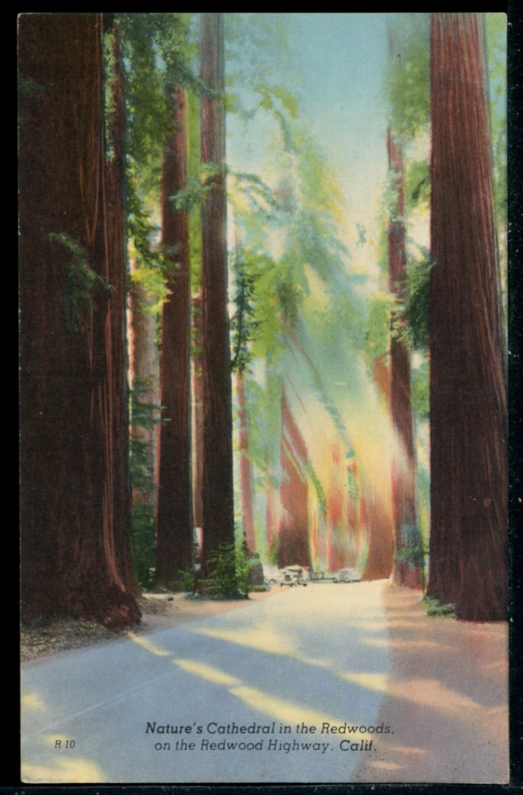 1940\'s Redwood Highway CA \ 1940\'s Redwood Highway CA \