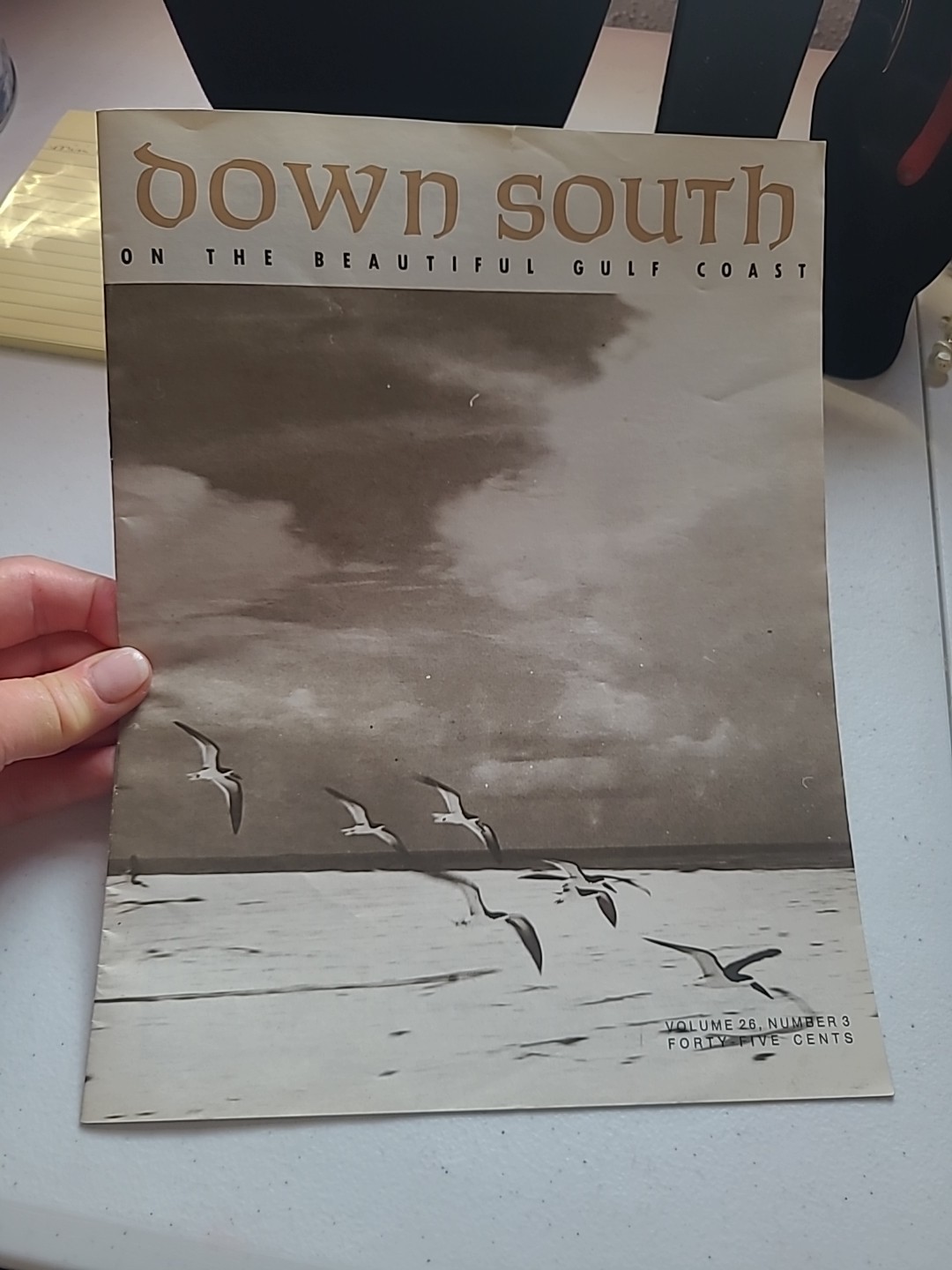 VTG 1970s 1976 Down South On The Beautiful Gulf Coast Travel Brochure Magazine 