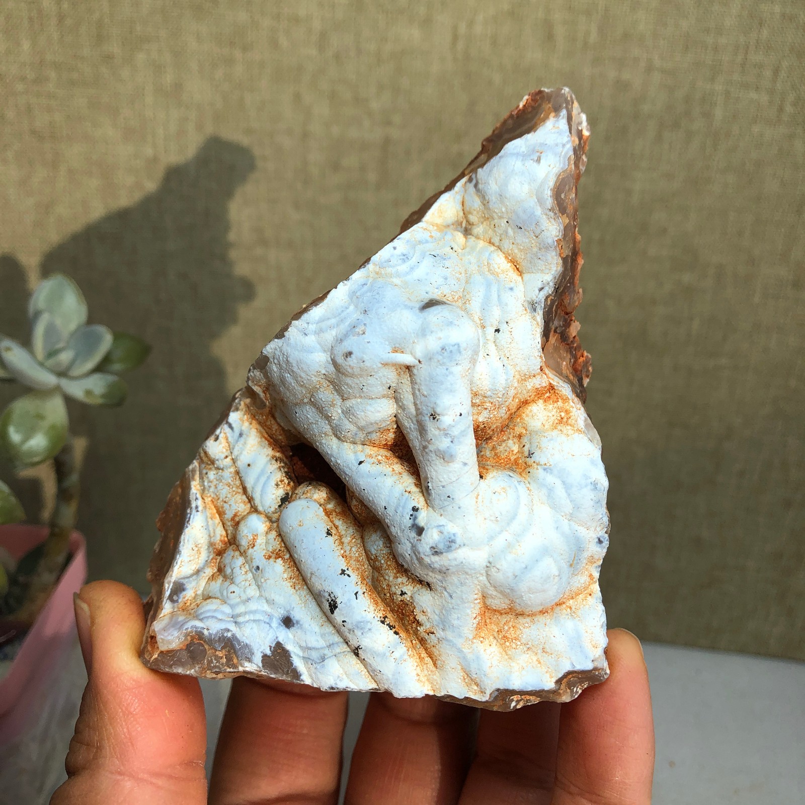 Rare Bonsai Suiseki Gobi semi-precious stone rough original Specimen 185g A2335