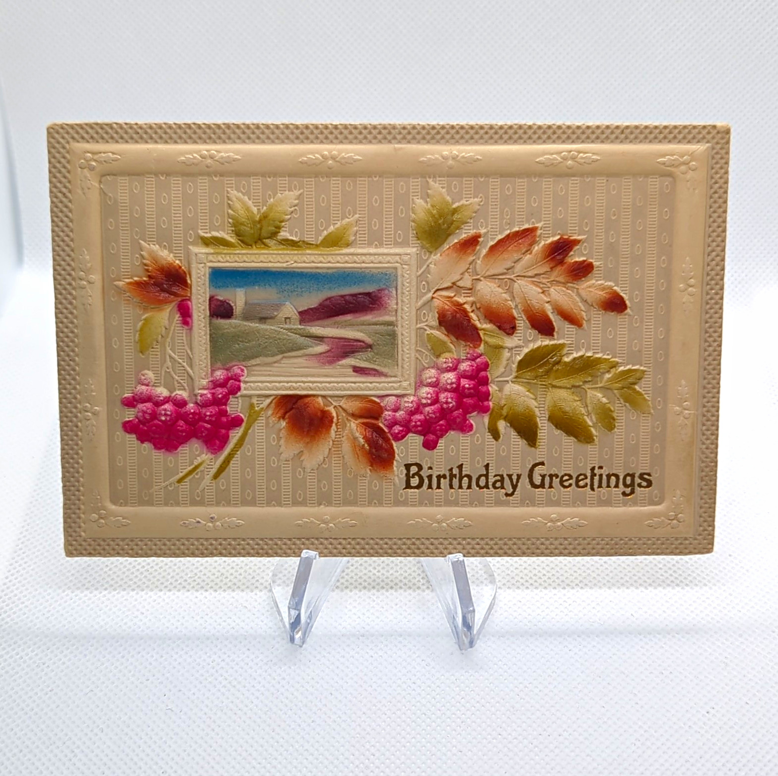 c1910\'s Vintage Embossed Birthday Postcard Cottage Landscape Germany EAS