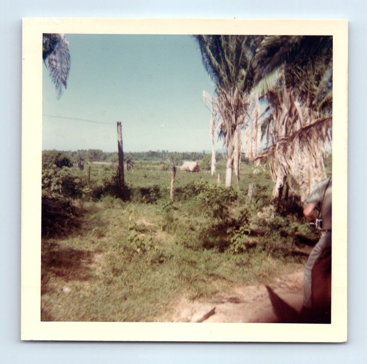 Old Vintage Square Color Photo FARM AND BARN PLANTATIOIN LANDSCAPE TREES